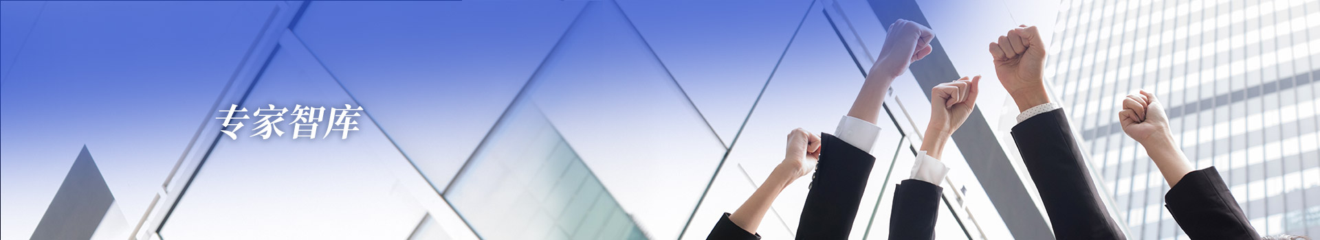 专家智库