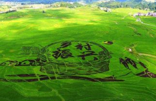 助力乡村振兴、推进合作新模式