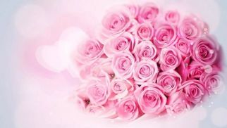 不朽情缘官网入口祝全体女同事节日快乐