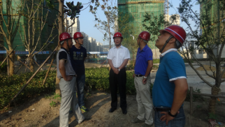 不朽情缘官网入口集团董事长肖厚忠赴凤祥铭居公司检查指导工作