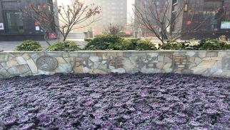 凤祥铭居二期顺利交房，业主喜获新居